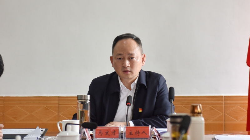 马文才组织召开2023年第三次政府常务会议